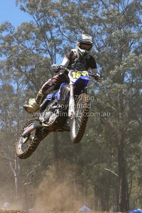 445x677 pixels (72K)